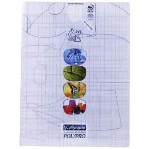 CAHIER PIQUE TP CALLIGRAPHE EN PP 96P 24x32 CM 90G SEYES UNI "CALLIGRAPHE" REF:18189C